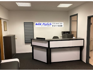 auto Mylich