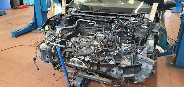 AutoCentrum Dithmarschen UG (haftungsbeschränkt)