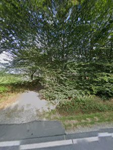 JS Cars Carstensen UG