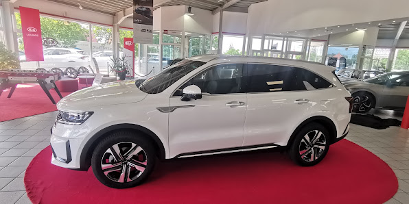 Kia Motors Meister-Werkstatt Wittenberg