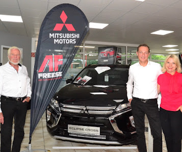 Autohaus Freese GmbH & Co. KG