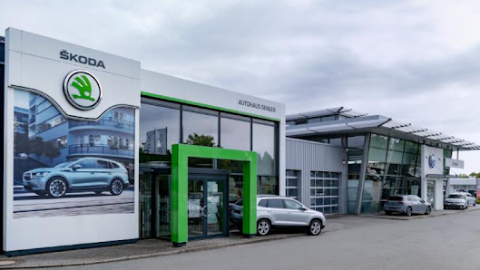 VW, Skoda, VW NFZ, Audi | Senger