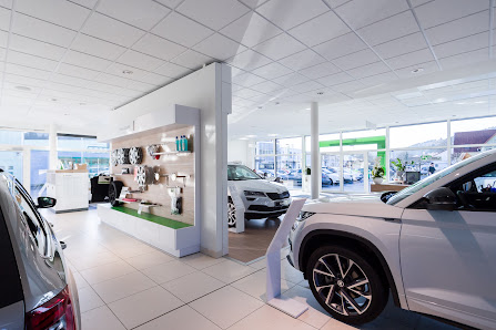 AHG Wichtshausen - Škoda Partner