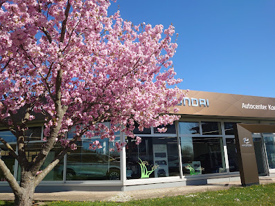 Autocenter Kornmaul GmbH & Co KG