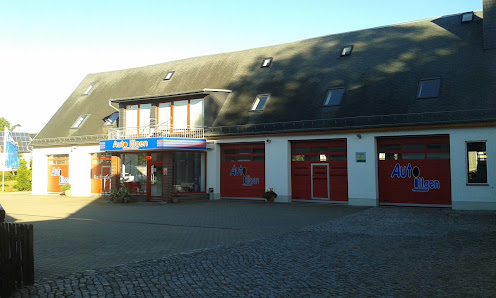 Auto Illgen