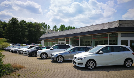 the car company