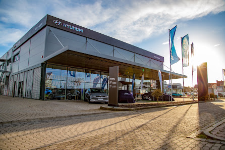 Auto Freydank GmbH & Co. KG