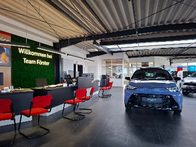 Autohaus Bernd Förster GmbH & Co. KG