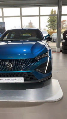 Peugeot Auto-Müller