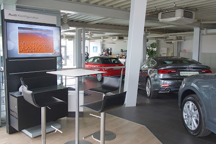 Franke Automobile - Audi