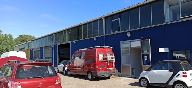 Autohof M&A