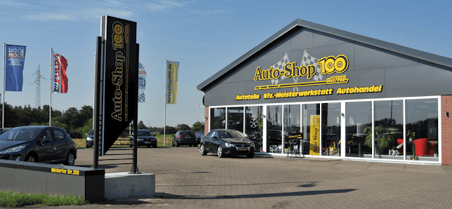 Auto-Shop 100