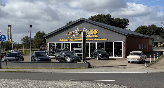 Auto-Shop 100