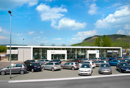 Fischer GmbH & Co. KG