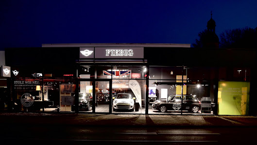 BMW & MINI Langenhan Jena