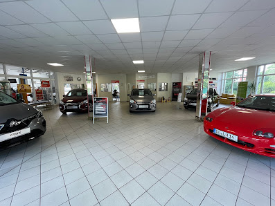 Auto Brückner GmbH & Co. KG