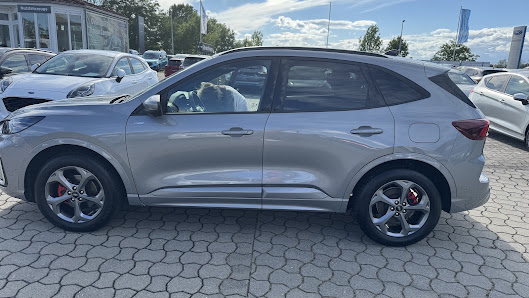 Dinnebier Automobile Ford / Kia