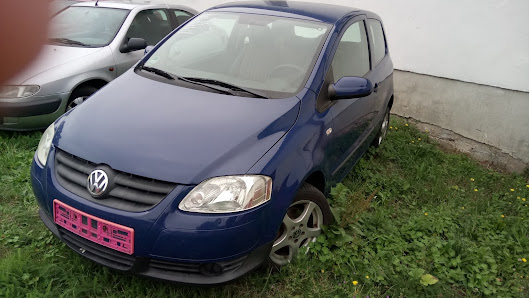 Auto-Freyberg