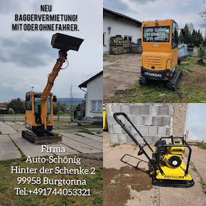 Auto-Schönig