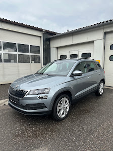 MS-Autohandel
