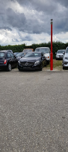 Auto Scherer