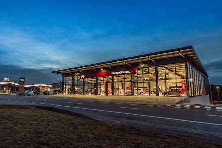 AHS Autohaus Handels- und Service GmbH