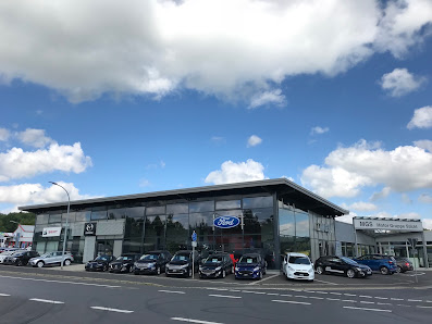 Fiat Mgs Motor Gruppe Sticht