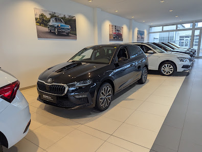 Avemo, Best, Škoda Gebrauchtwagen | Autohaus Mühlheim am Main