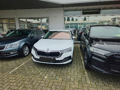 Avemo, Best, Škoda Gebrauchtwagen | Autohaus Mühlheim am Main