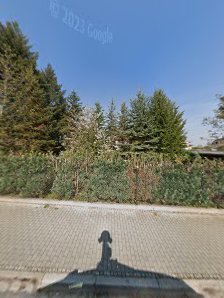 Autohandel Steile Straße