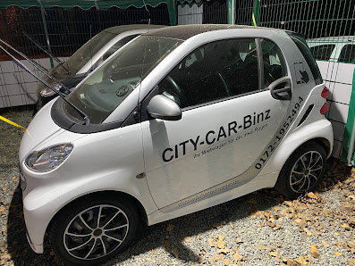 City Car Binz