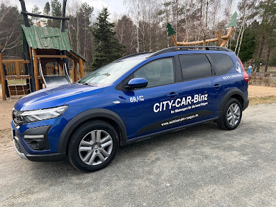 City Car Binz