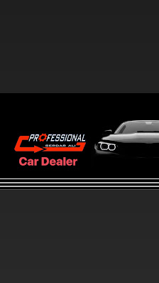 Professional Automobile