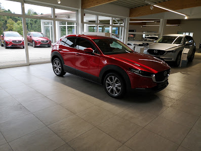 Autohaus Atzinger GmbH