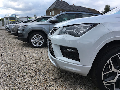 Braune-Automobile