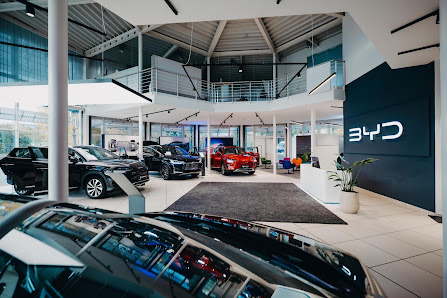 BYD Service - STERNAUTO
