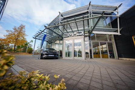 BYD Service - STERNAUTO