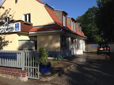 Leonhardt im Grunewald