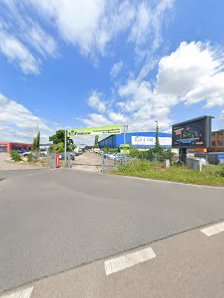 Auto Ehrlich
