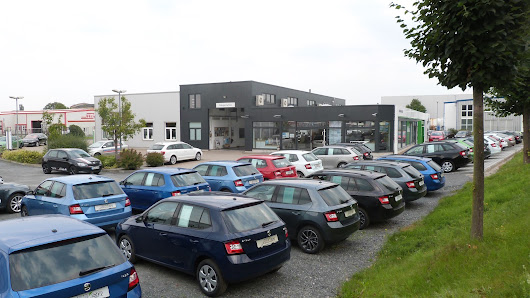 Autohaus Adler GmbH & Co KG
