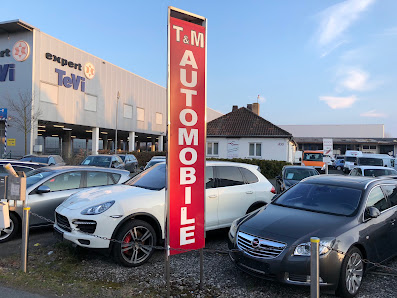 T&M Automobile