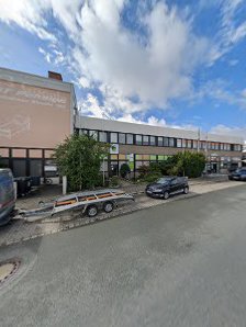 Auto Terranova