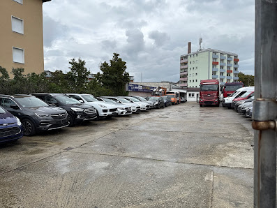 Auto Ibrahim